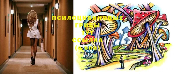 mix Бородино