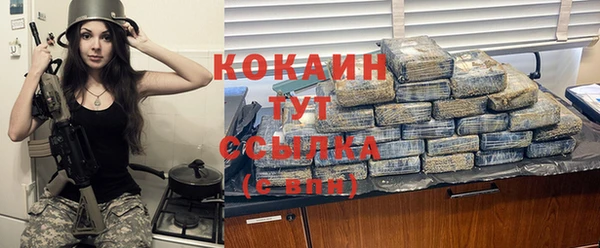 mix Бородино