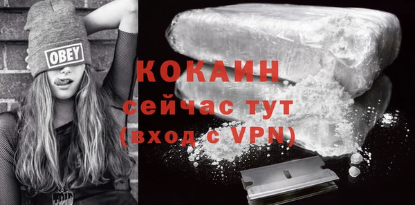 mix Бородино