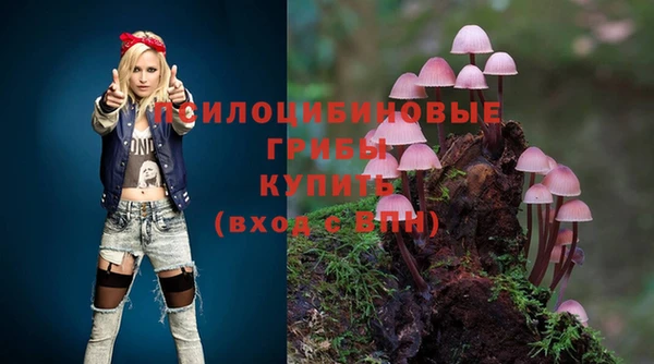 mix Бородино