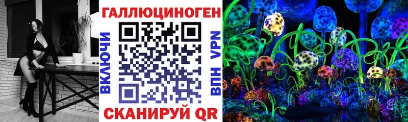 Галлюциногенные грибы Psilocybe  купить наркоту  Чита 